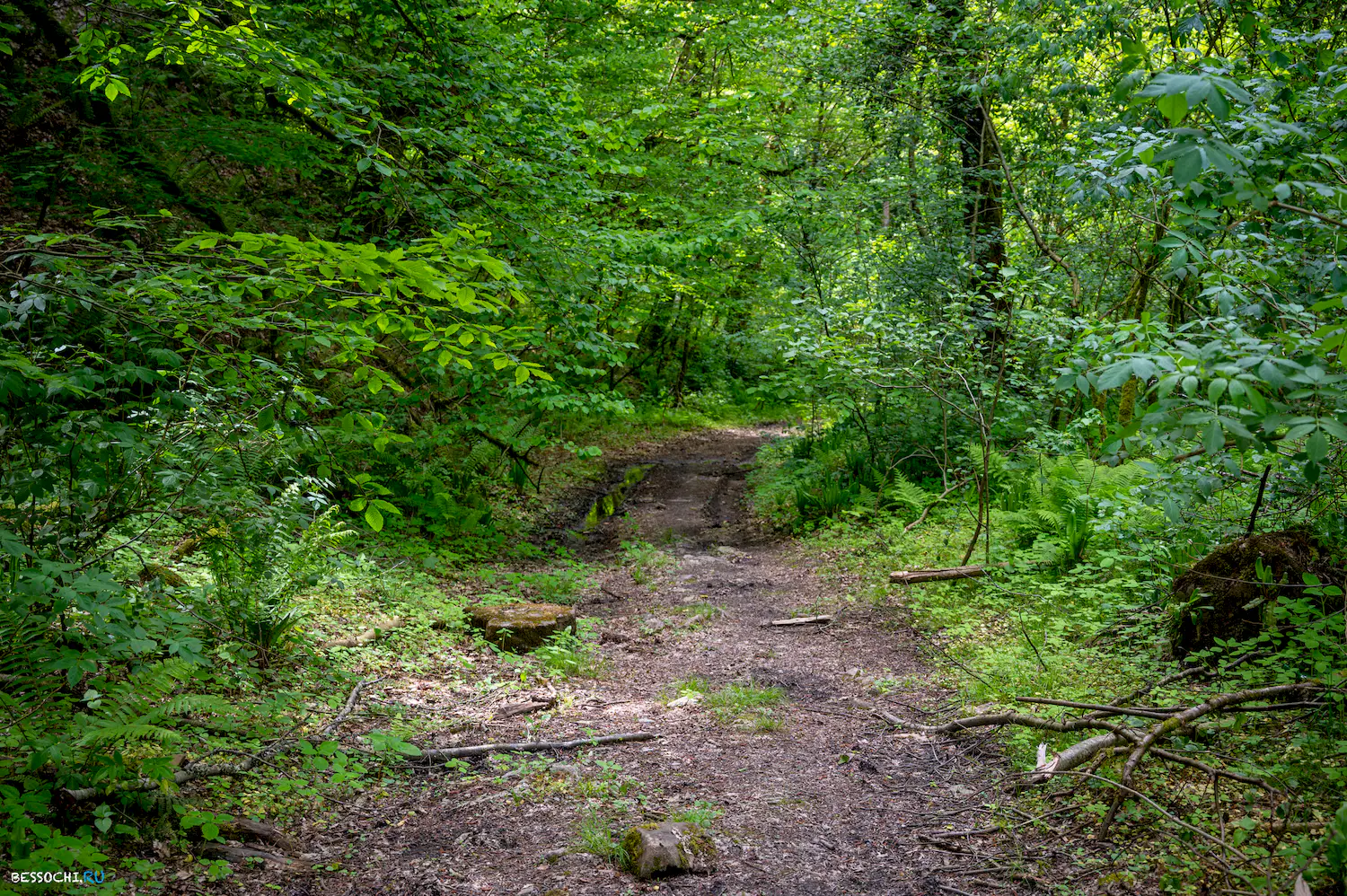 притоки Кутарки