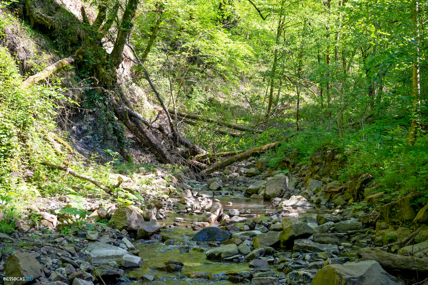 притоки кутарки