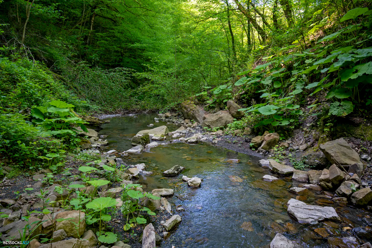 притоки кутарки