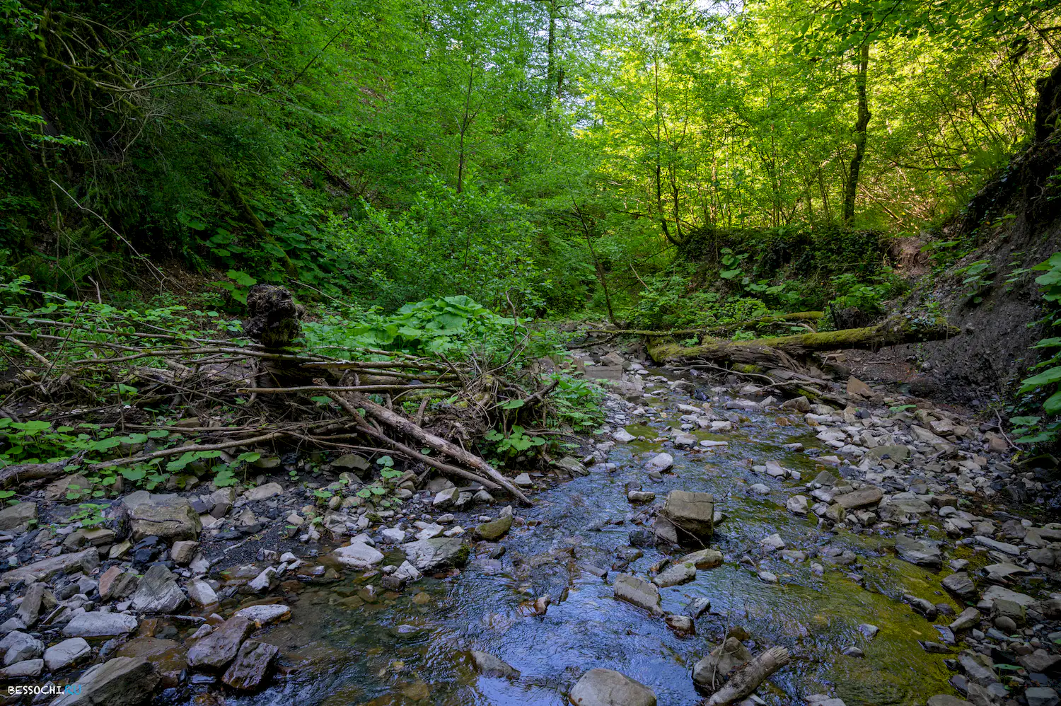 притоки кутарки