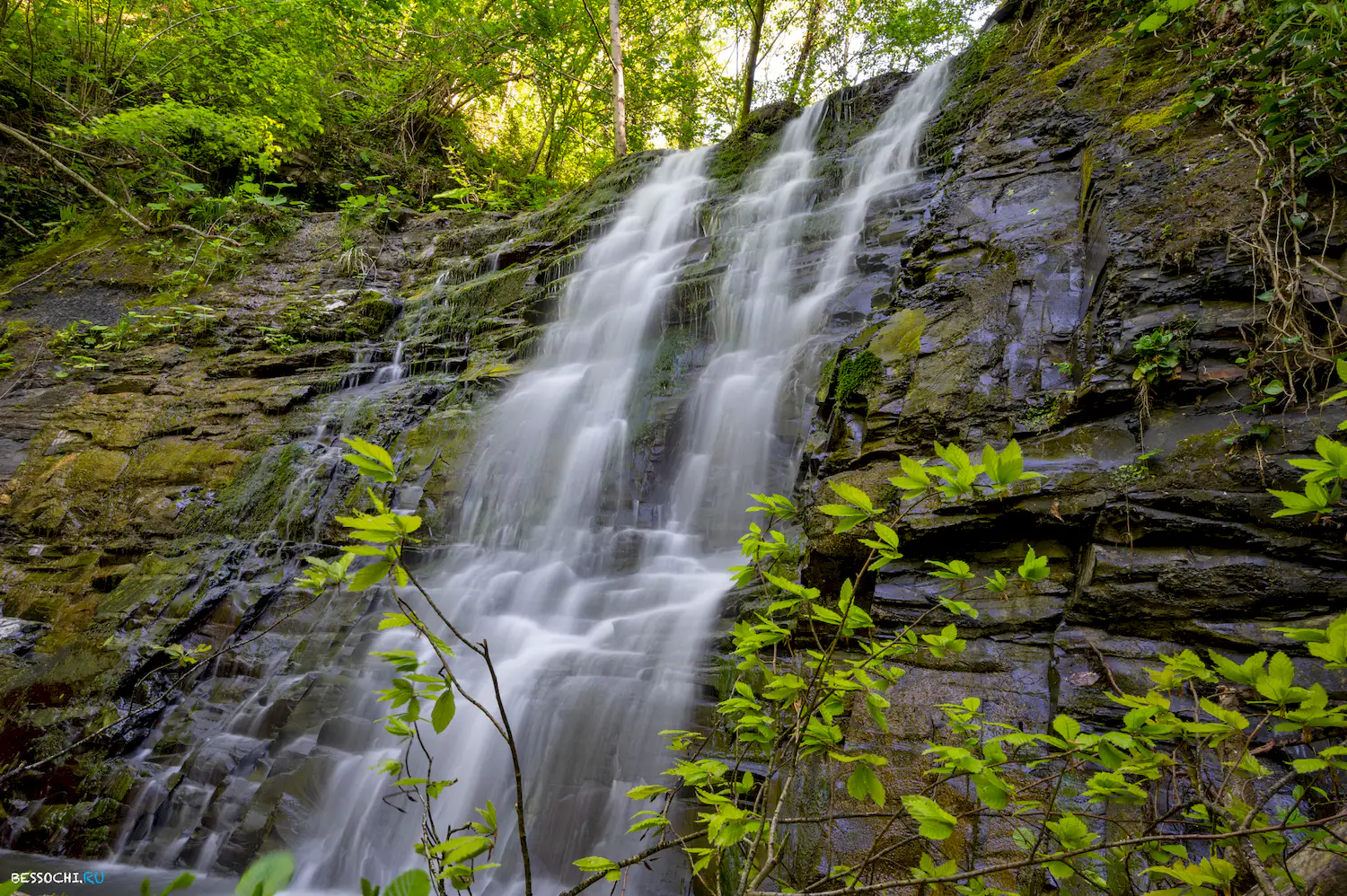 притоки кутарки