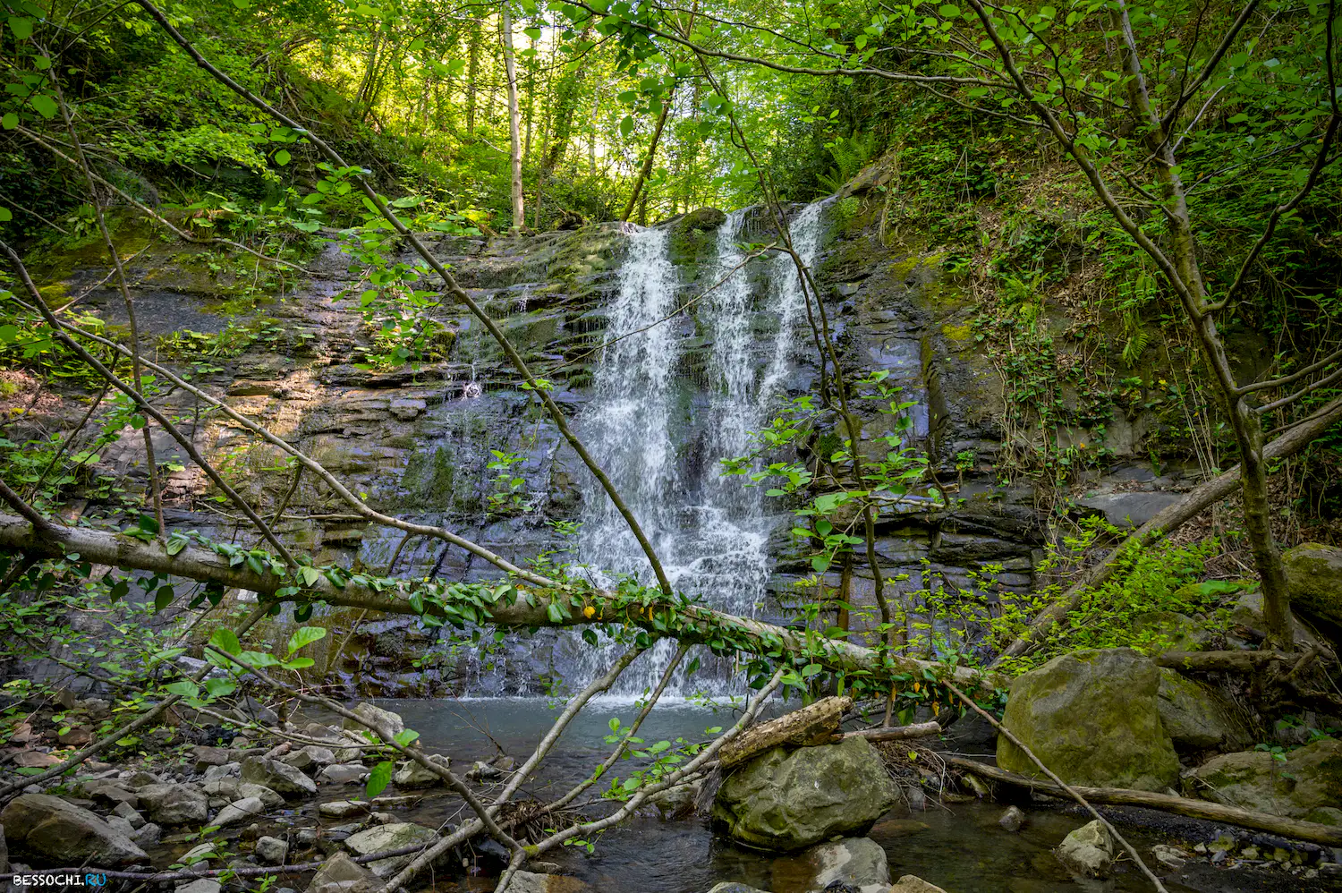 притоки кутарки