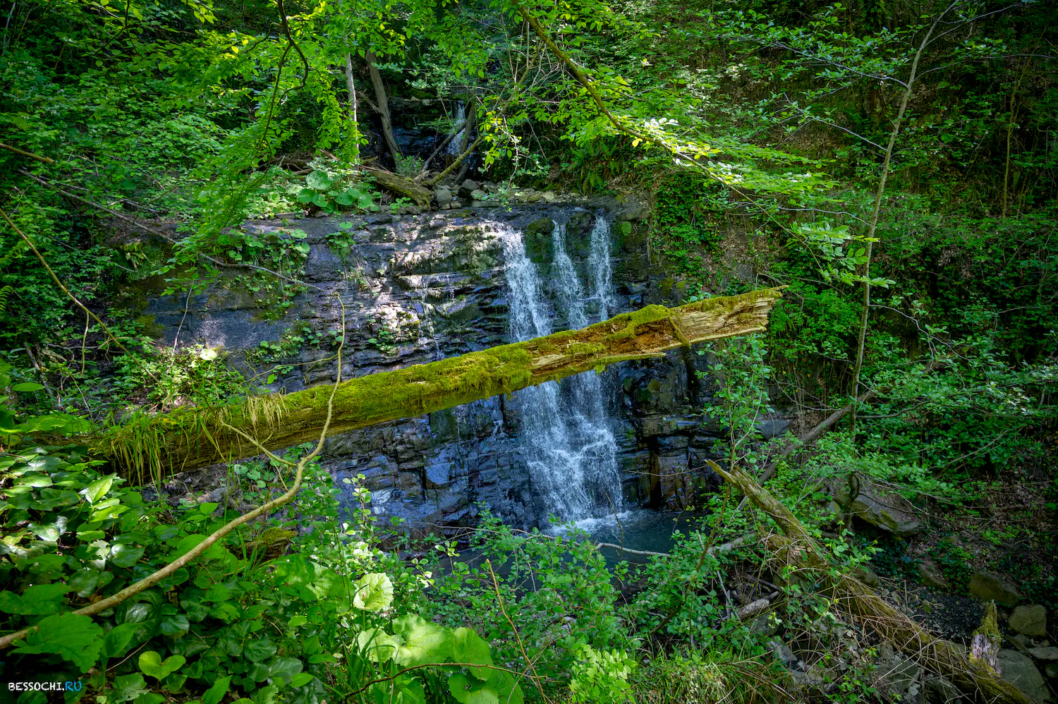притоки кутарки