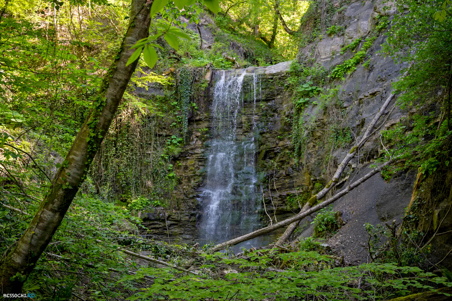 притоки кутарки