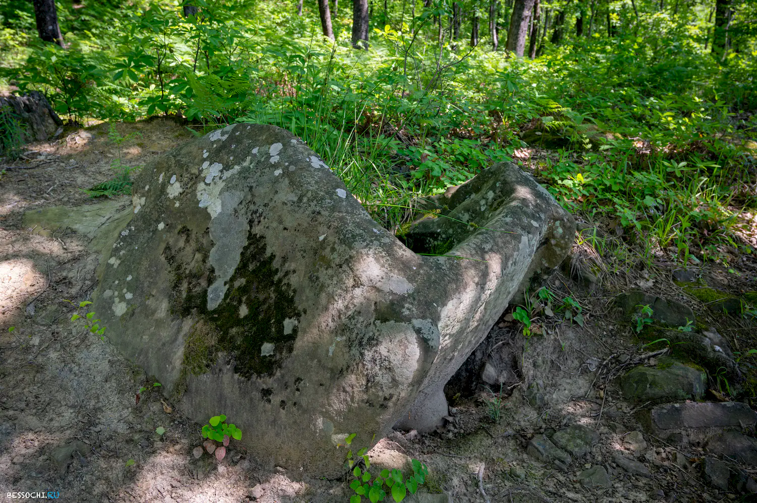 Волконка дольмен