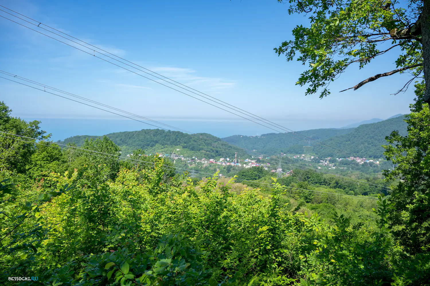 Сортоучасток