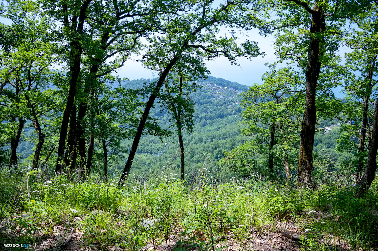 Каткова щель