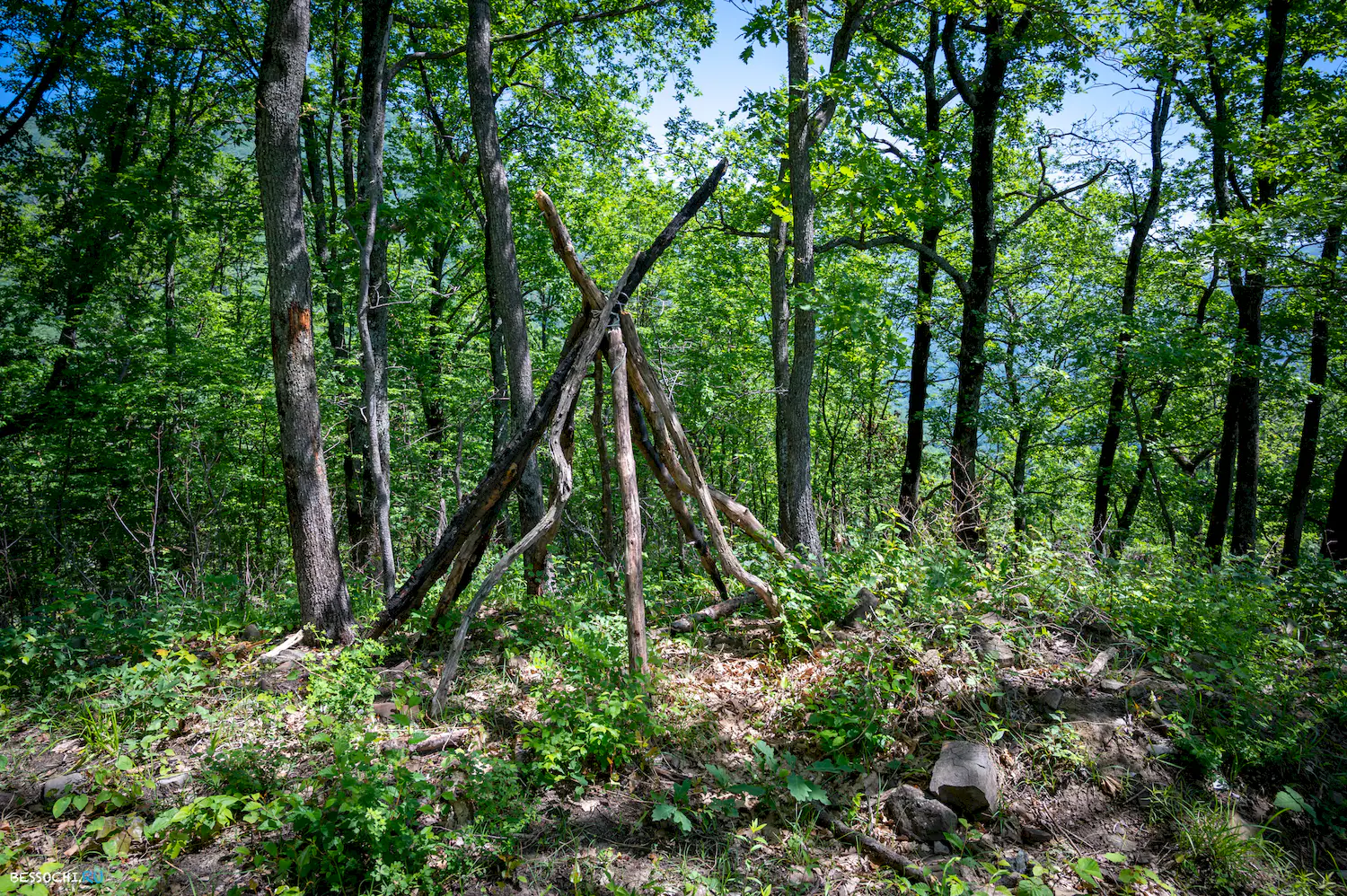 Каткова щель