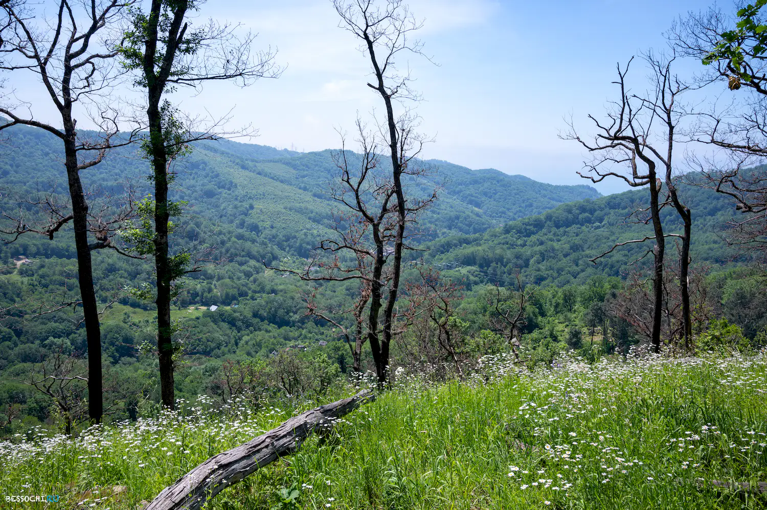 Каткова щель