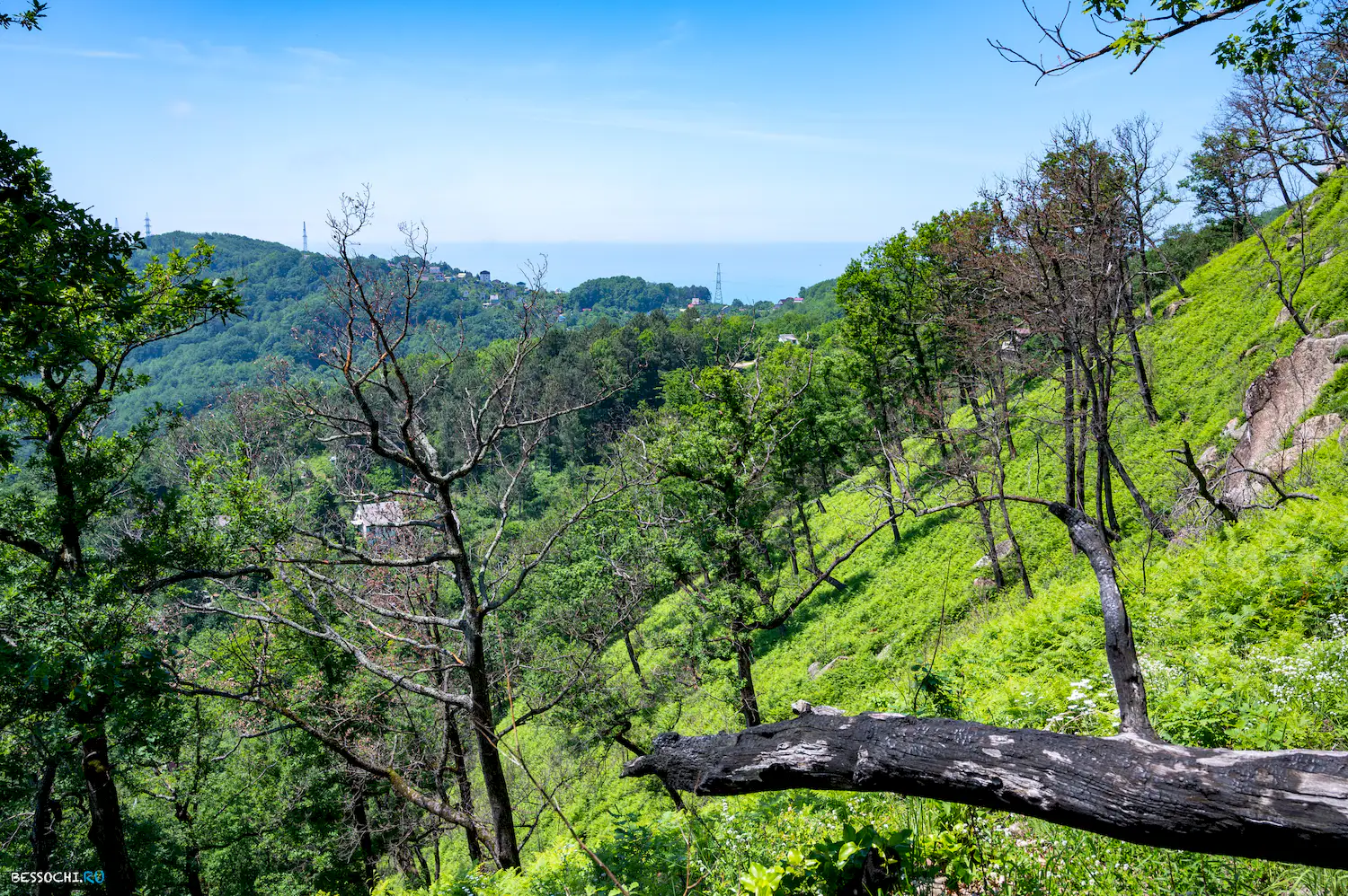 Каткова щель