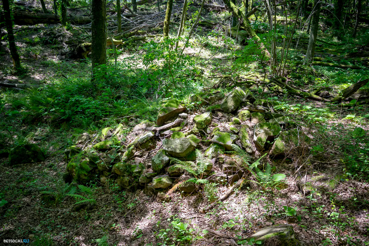 Каткова щель