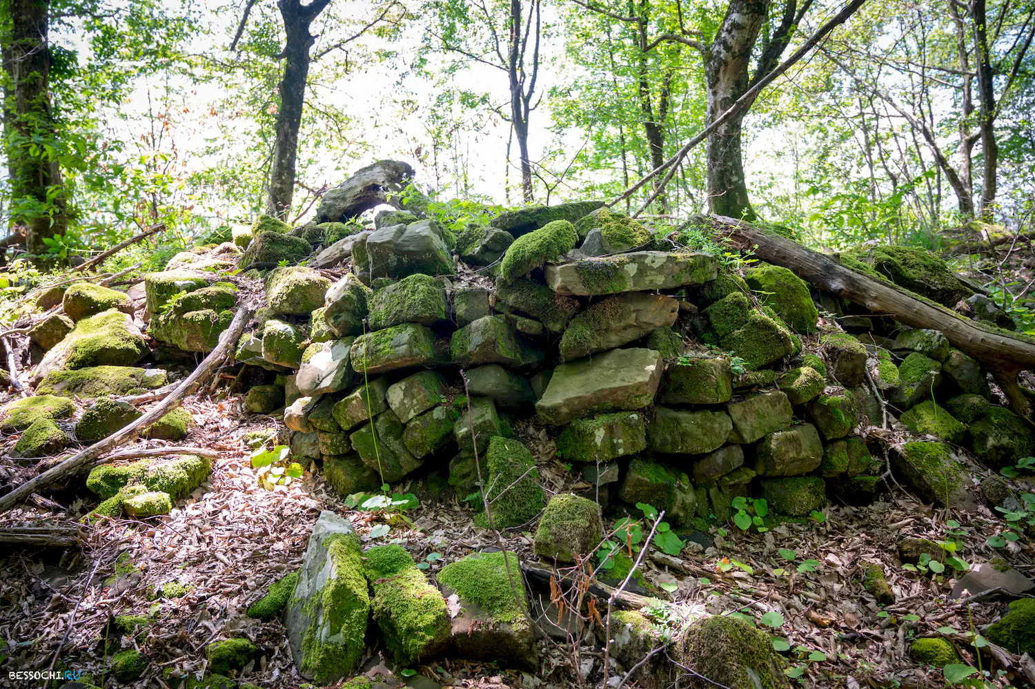 Каткова щель