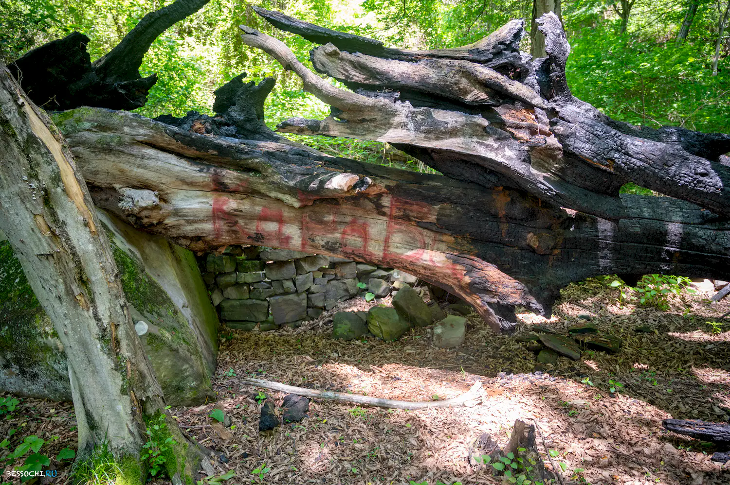 Каткова щель