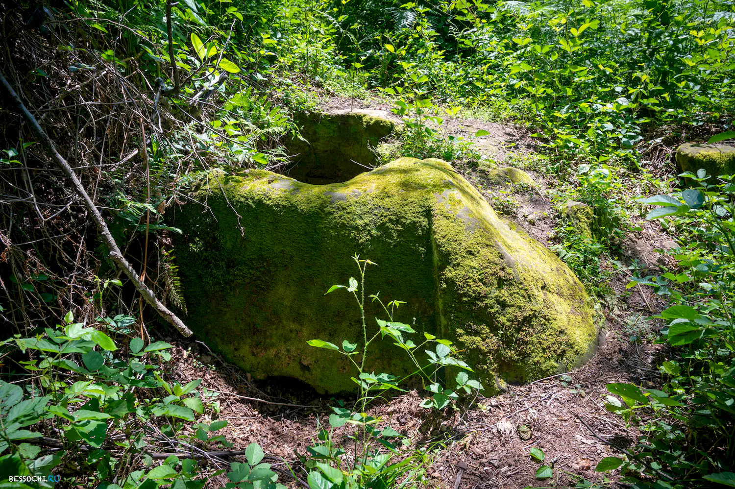 Каткова щель