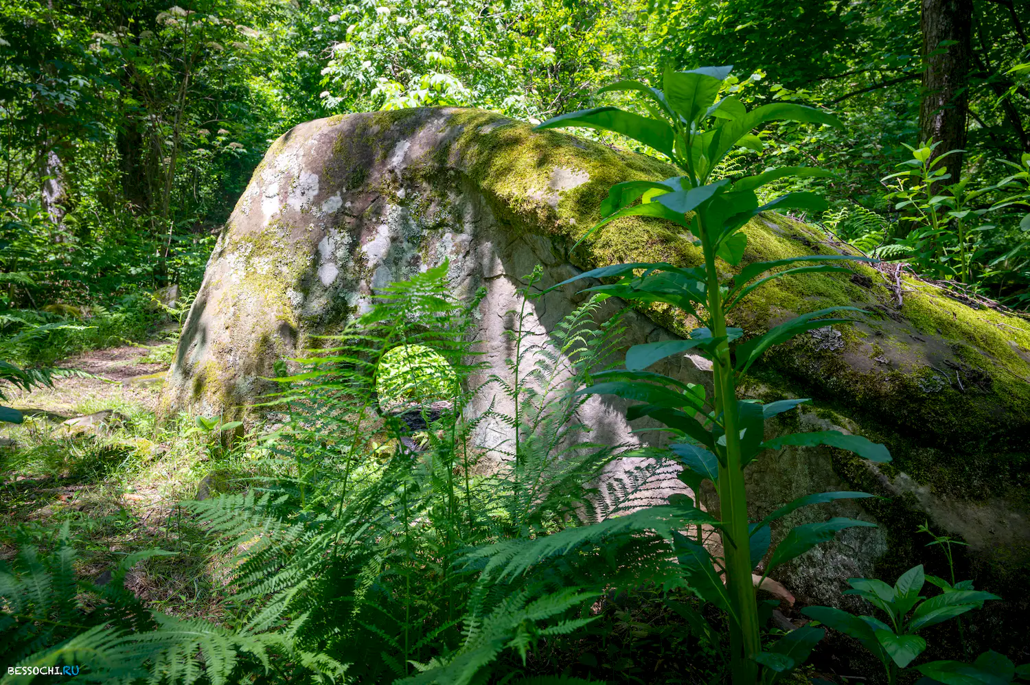 Каткова щель