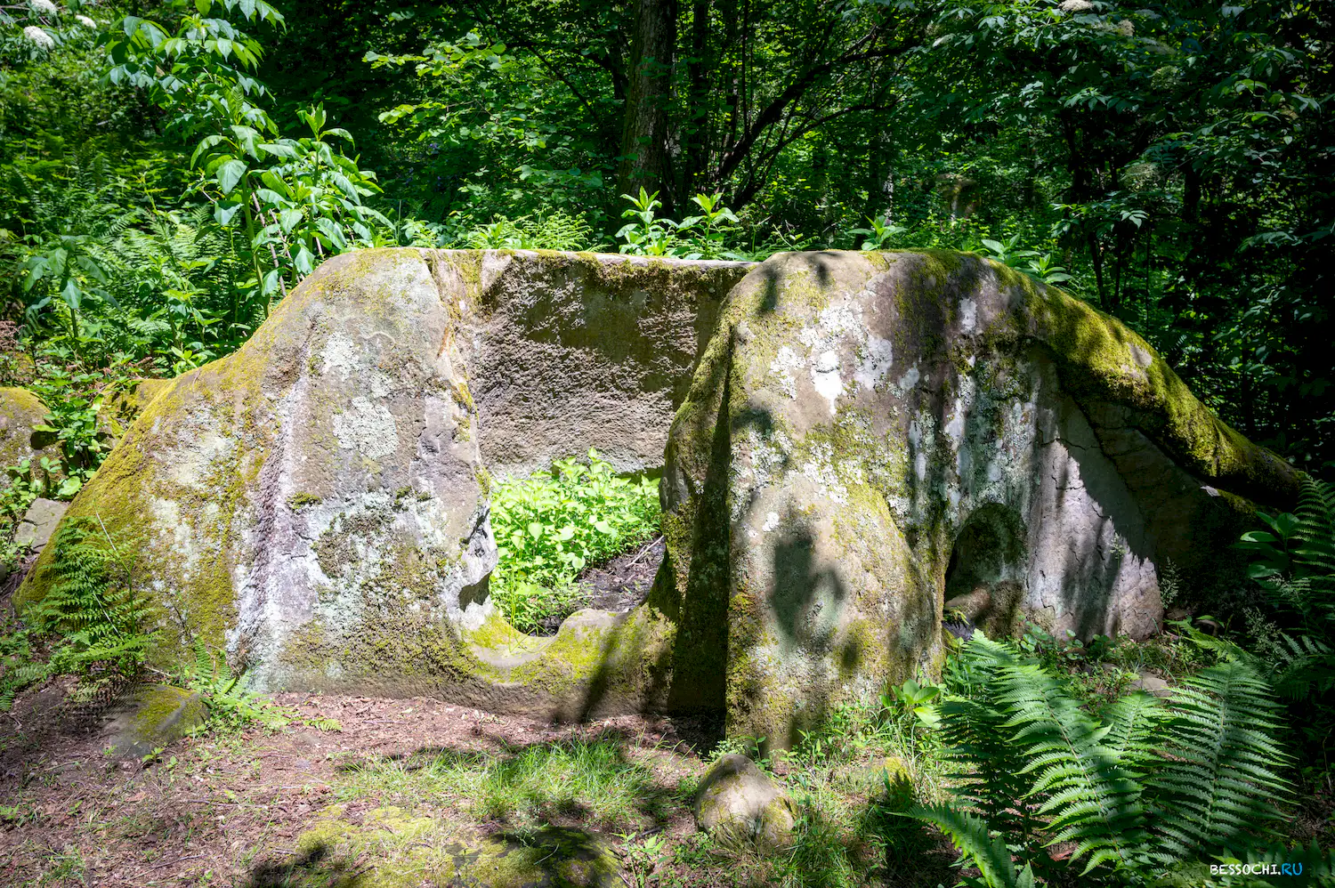 Каткова щель