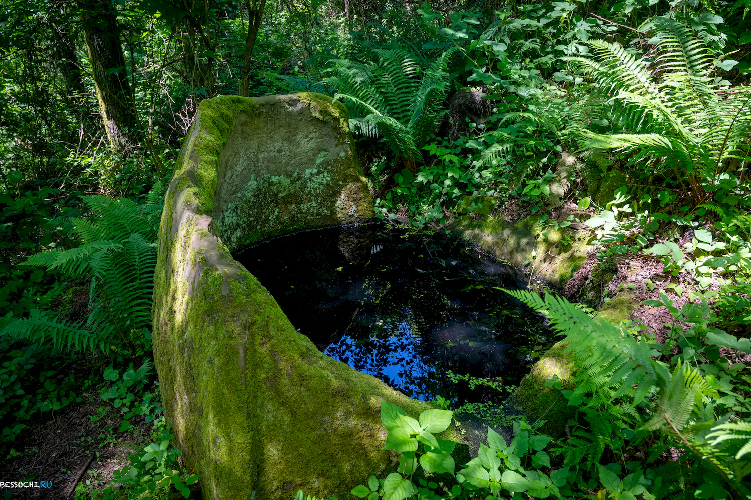 Каткова щель