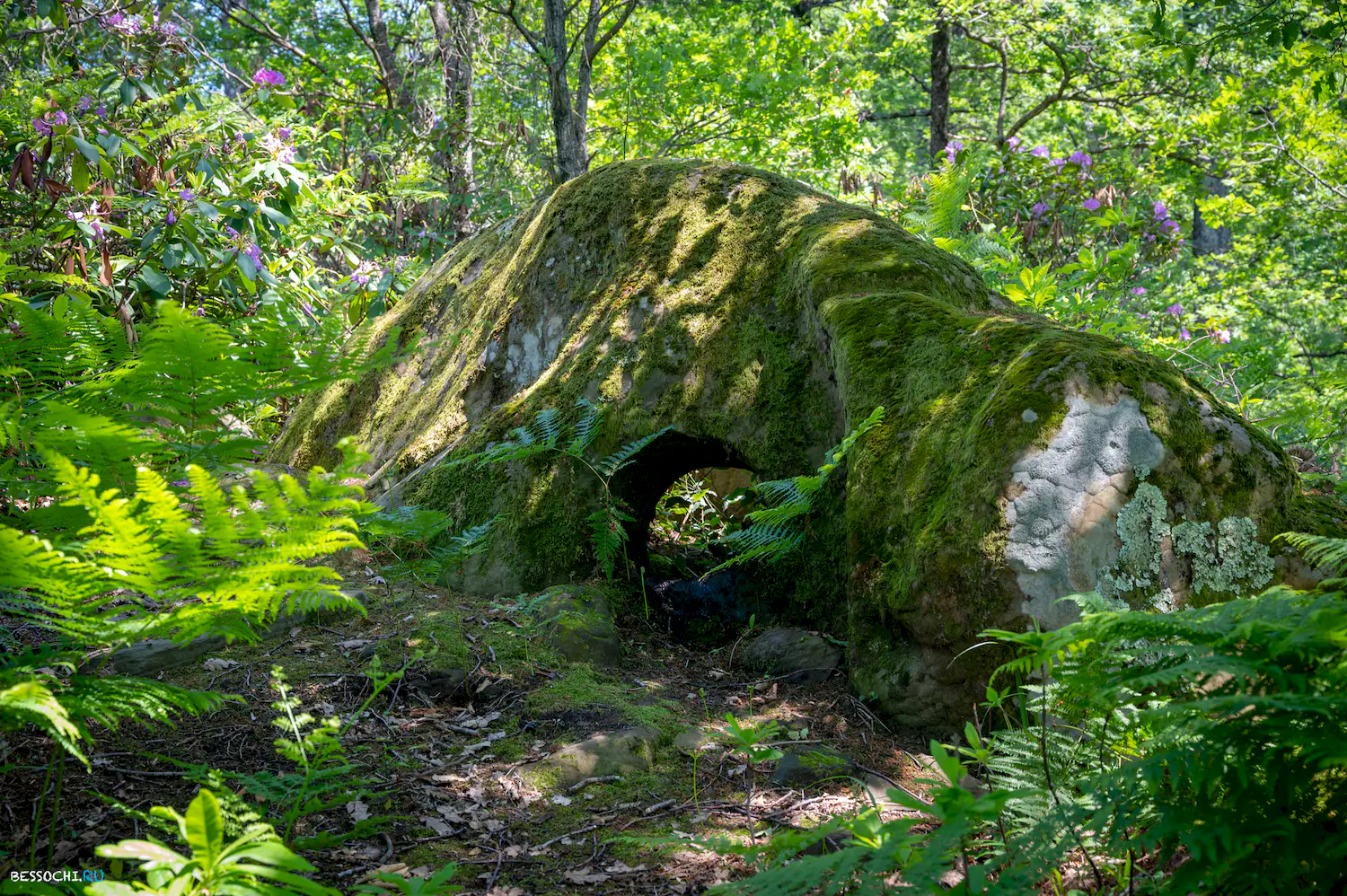 Каткова щель