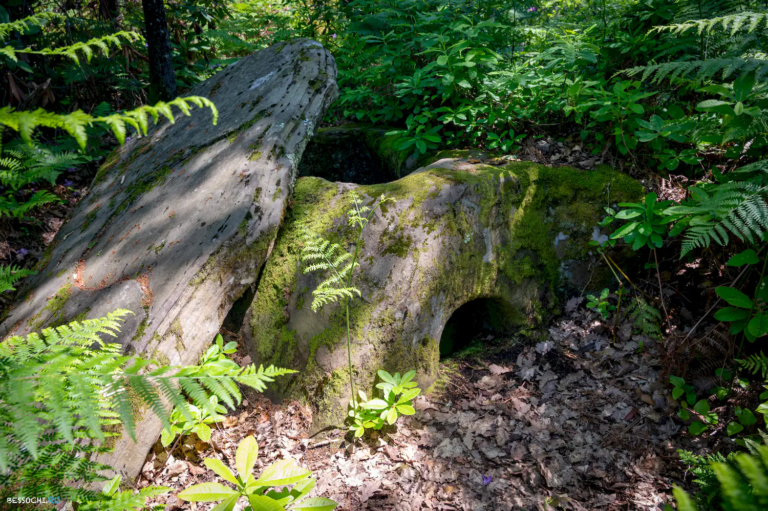 Каткова щель