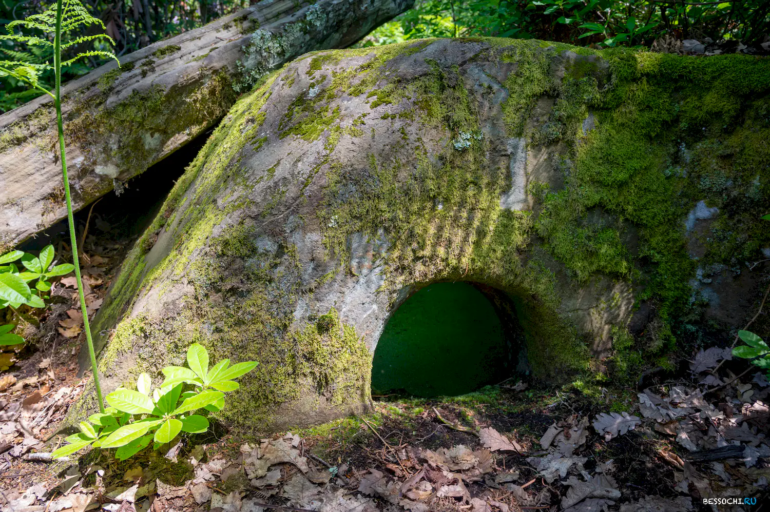 Каткова щель