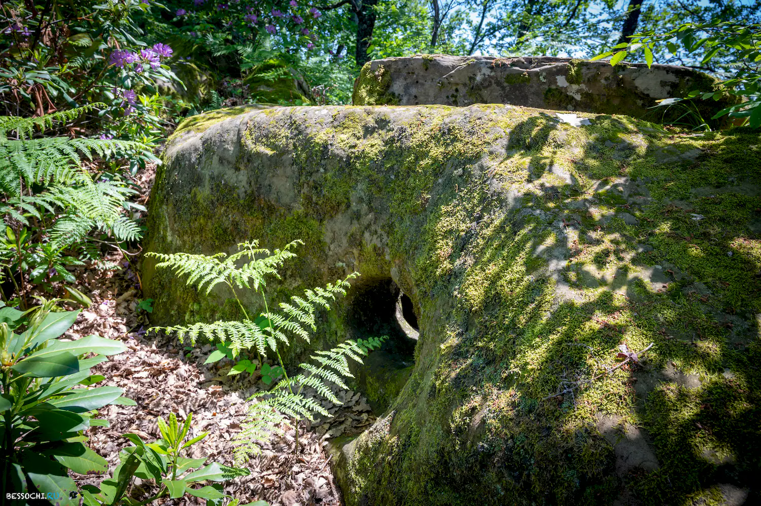 Каткова щель