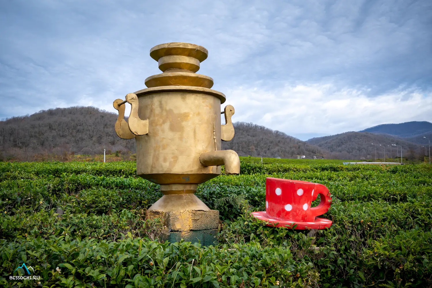 Краснодарский чай