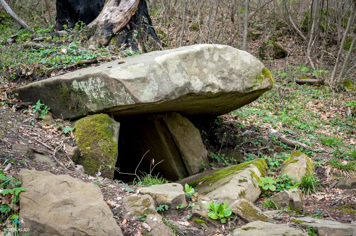 Дольмены Капибге