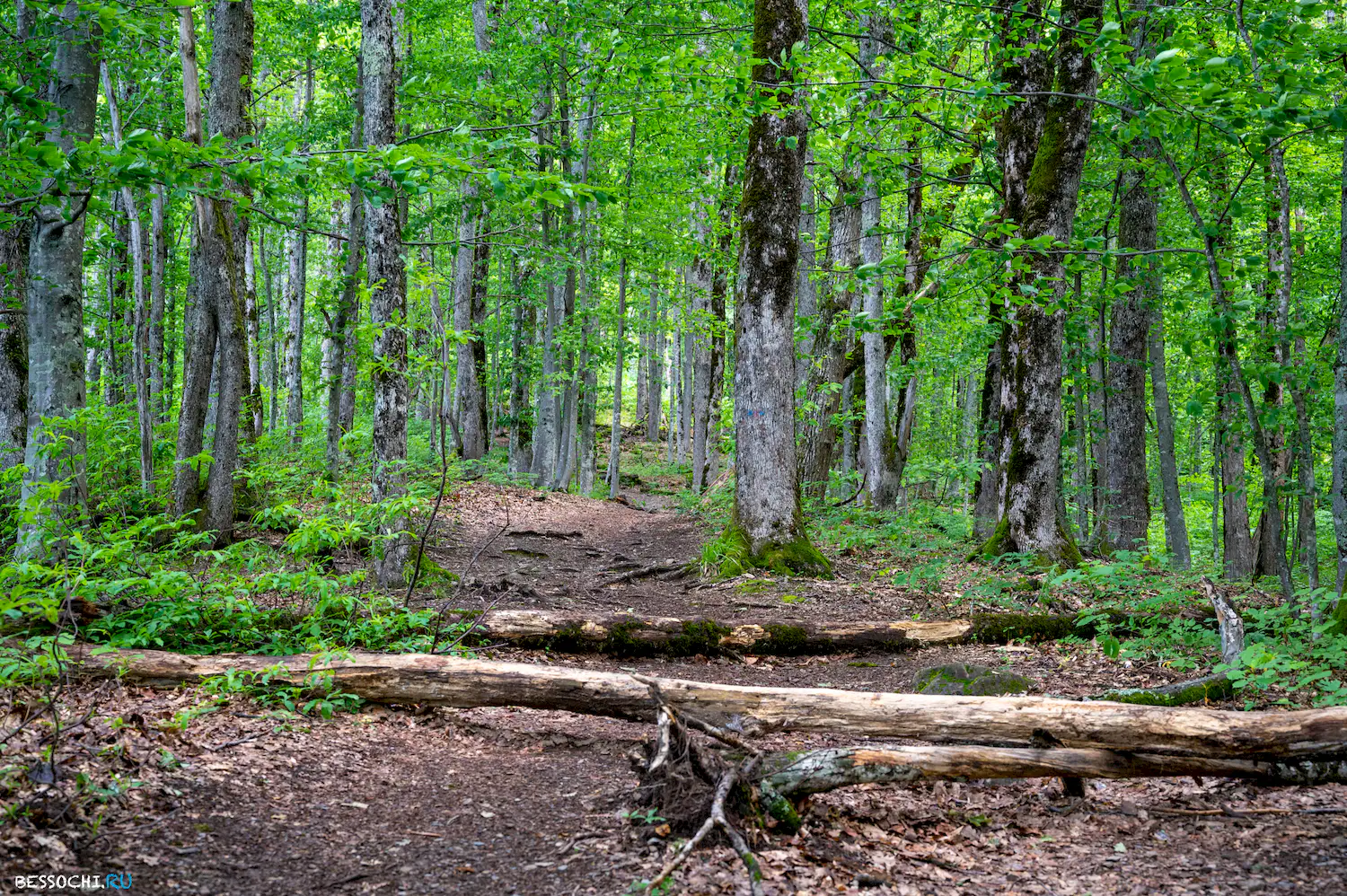водопад Кейва