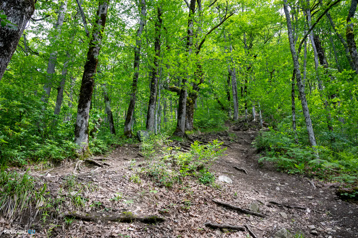 водопад Кейва