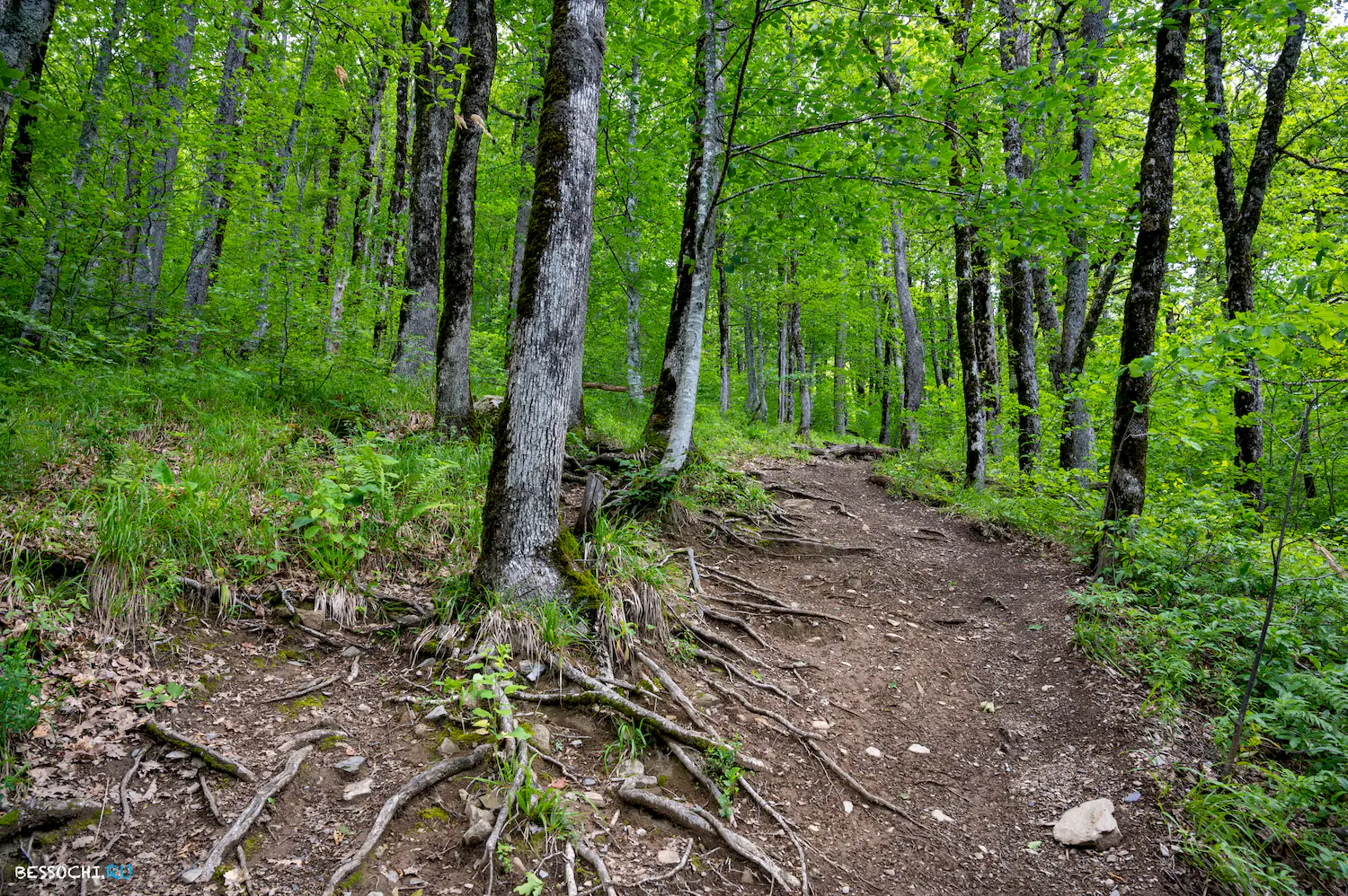 водопад Кейва