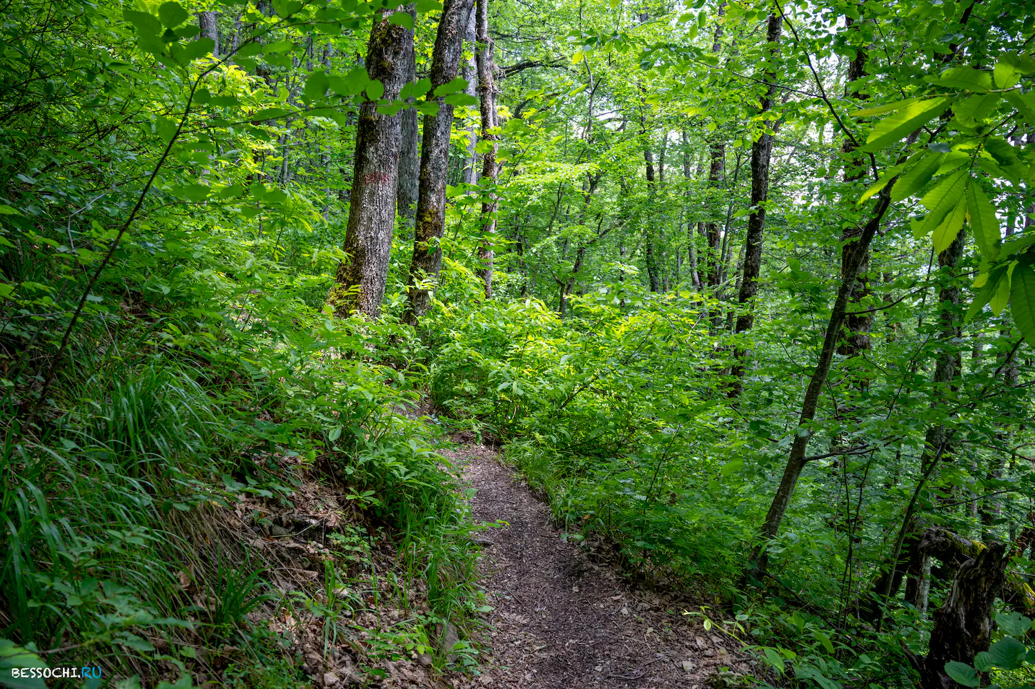 водопад Кейва