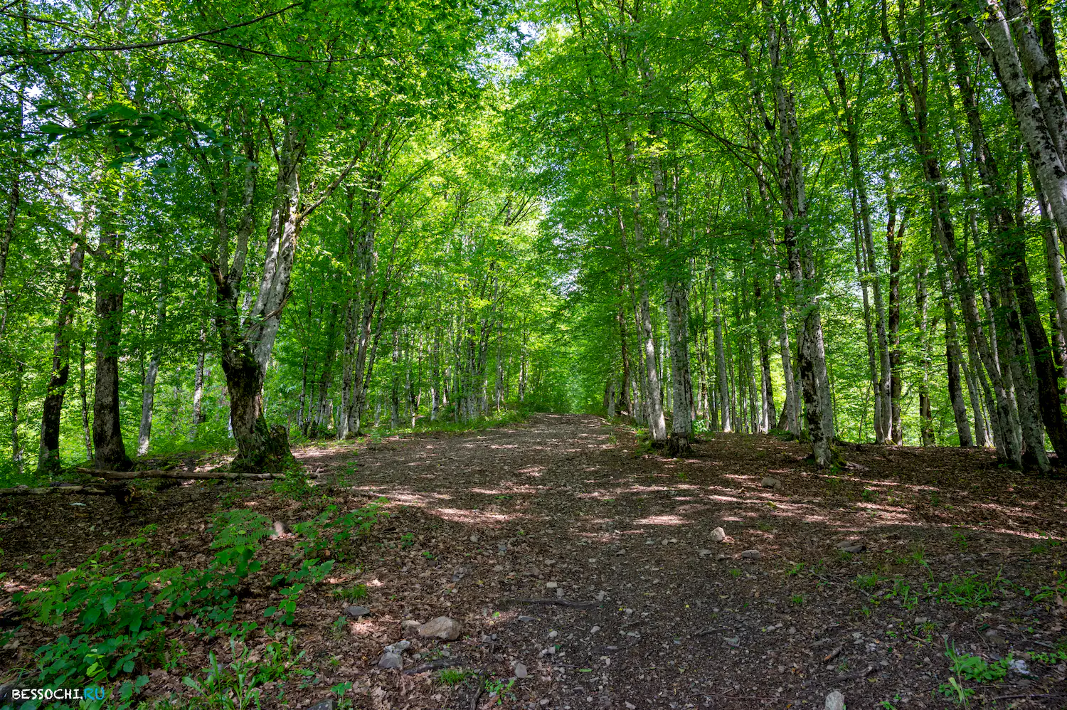 водопад Кейва