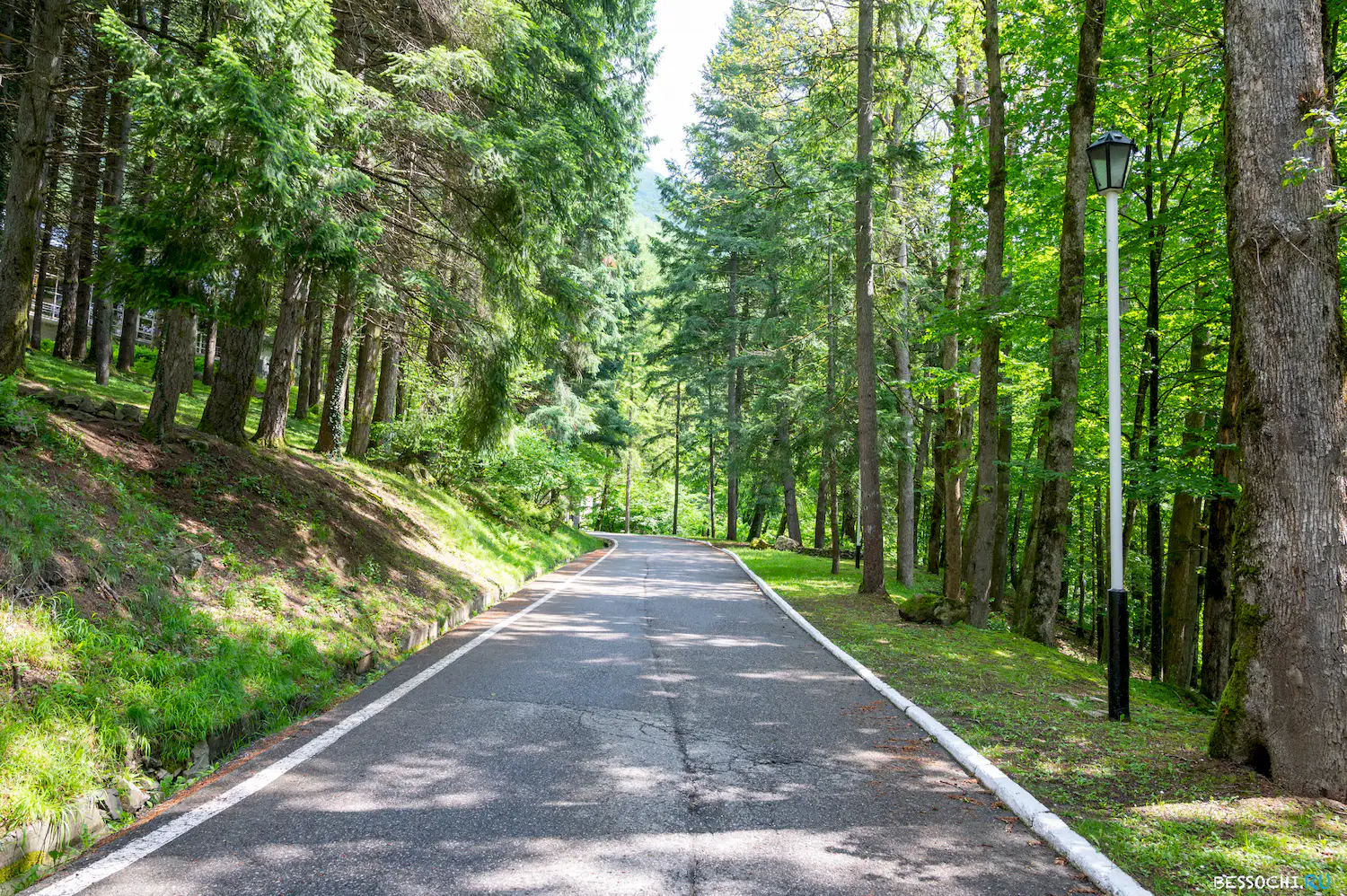 турбаза Красная поляна