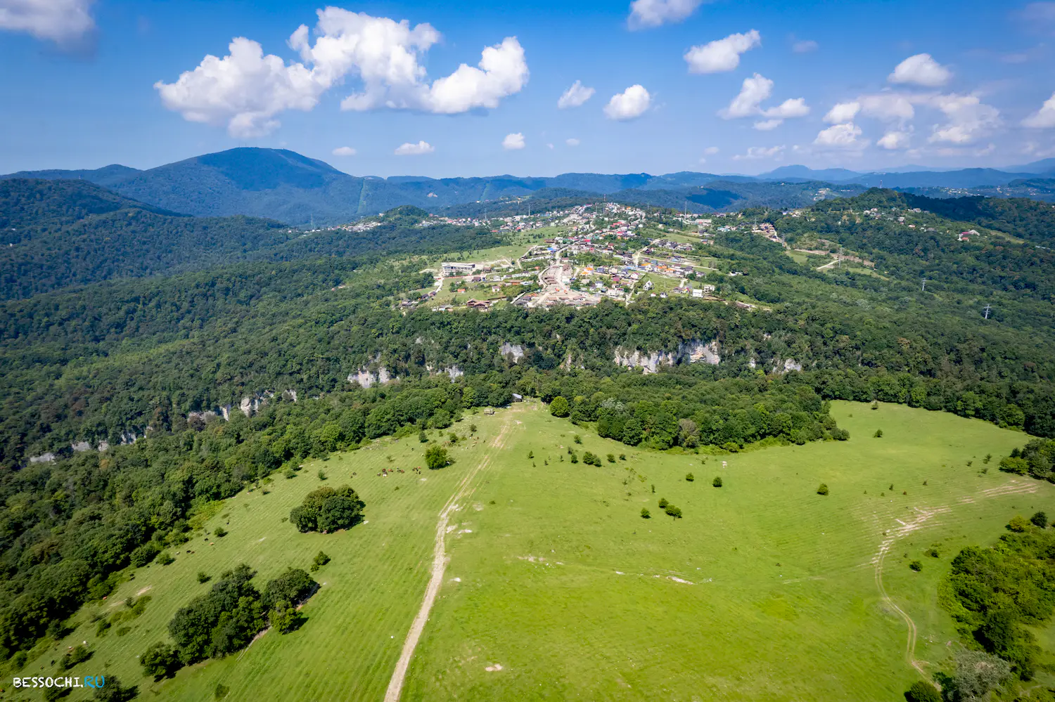 Красная воля