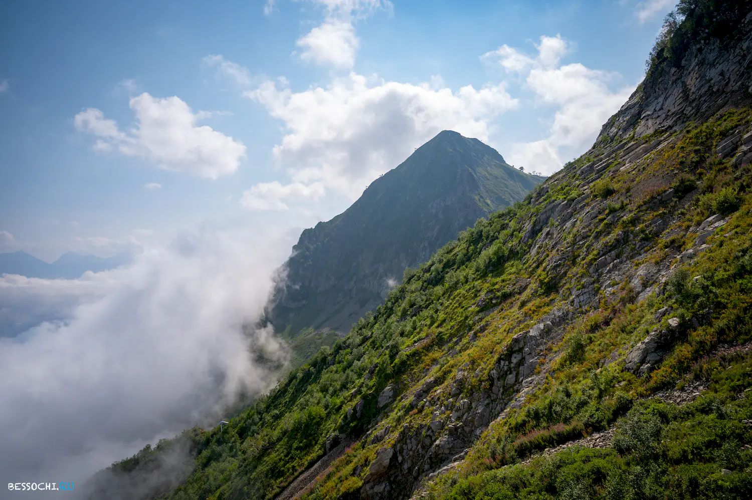 Красная поляна