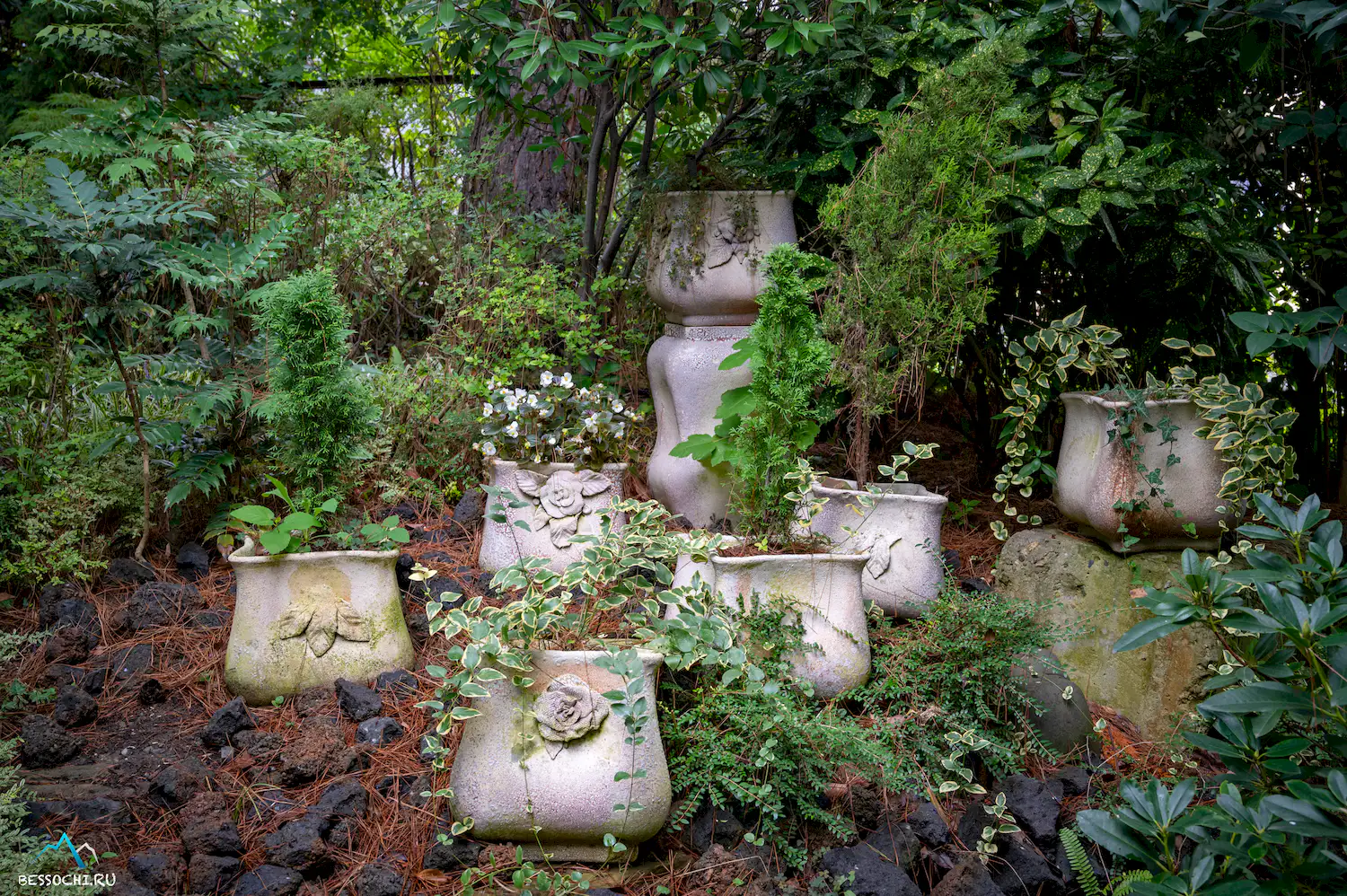 Фитофантазия