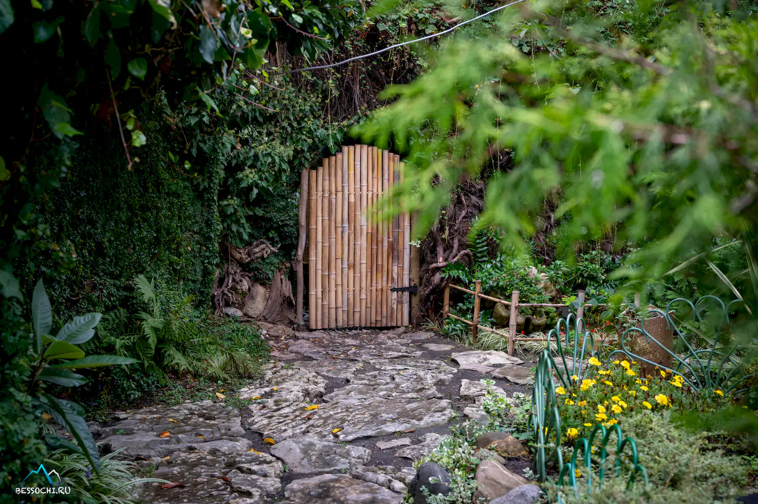 Фитофантазия