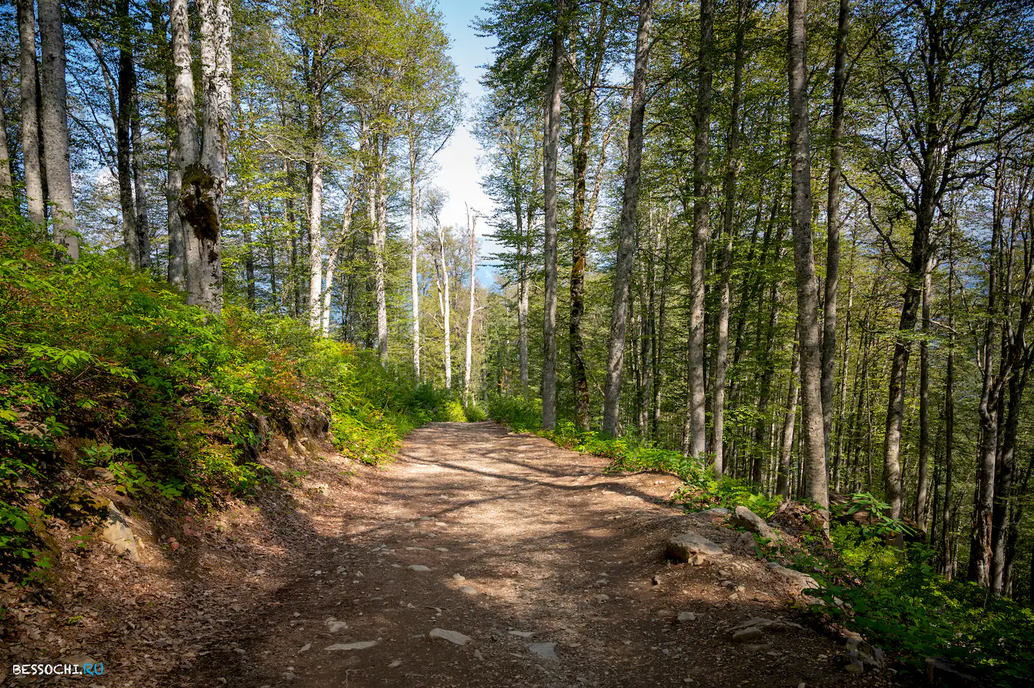 водопад Поликаря