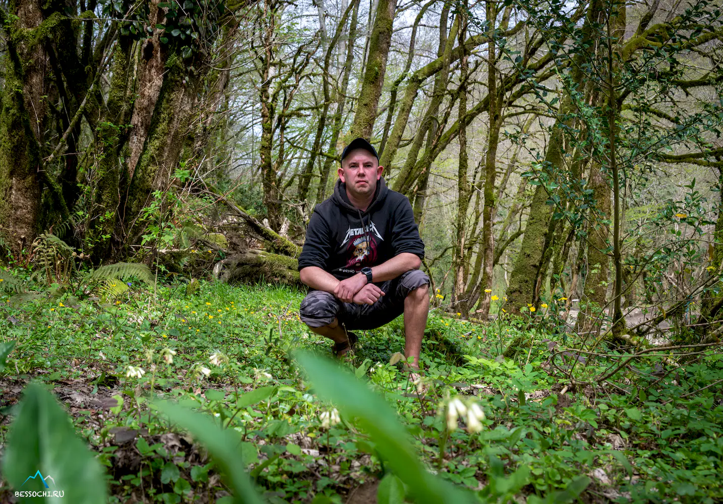 Весенний лес