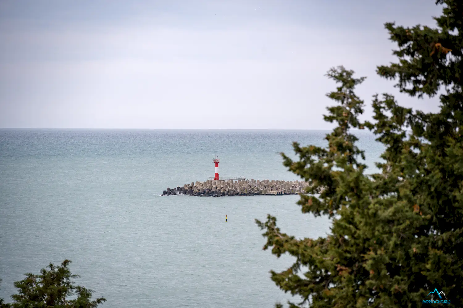 Весна в Сочи