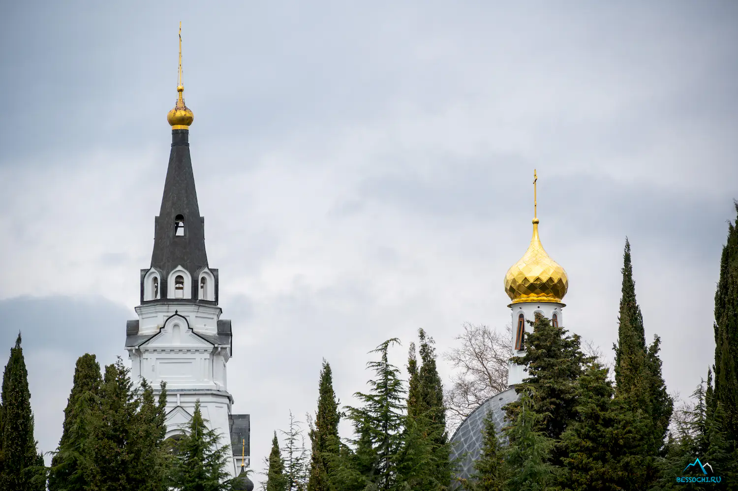 Весна в Сочи