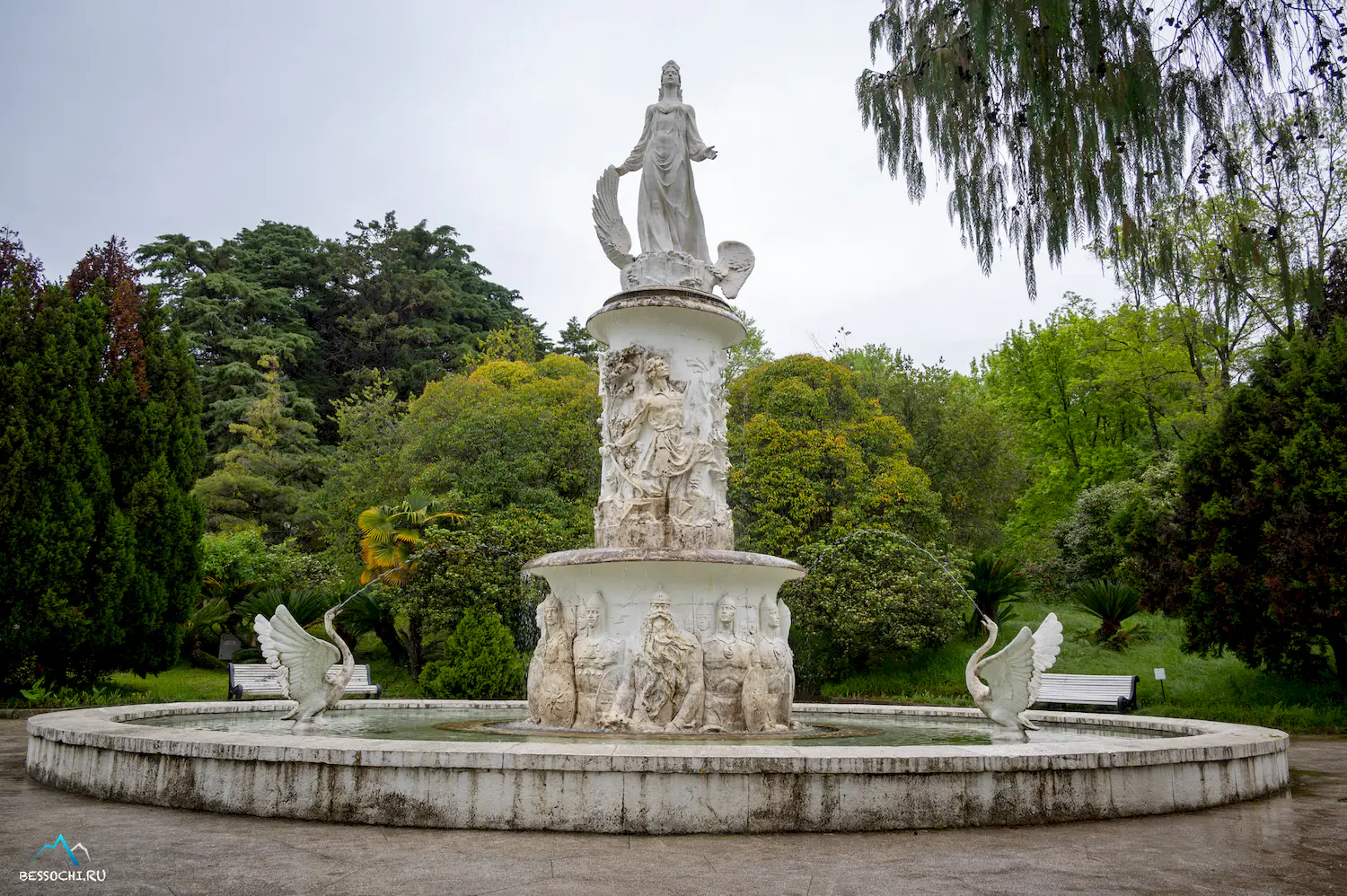 Дендрарий