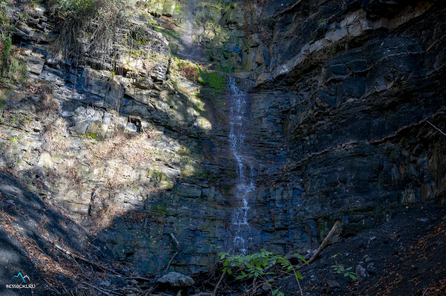 Первый приток Кутарки