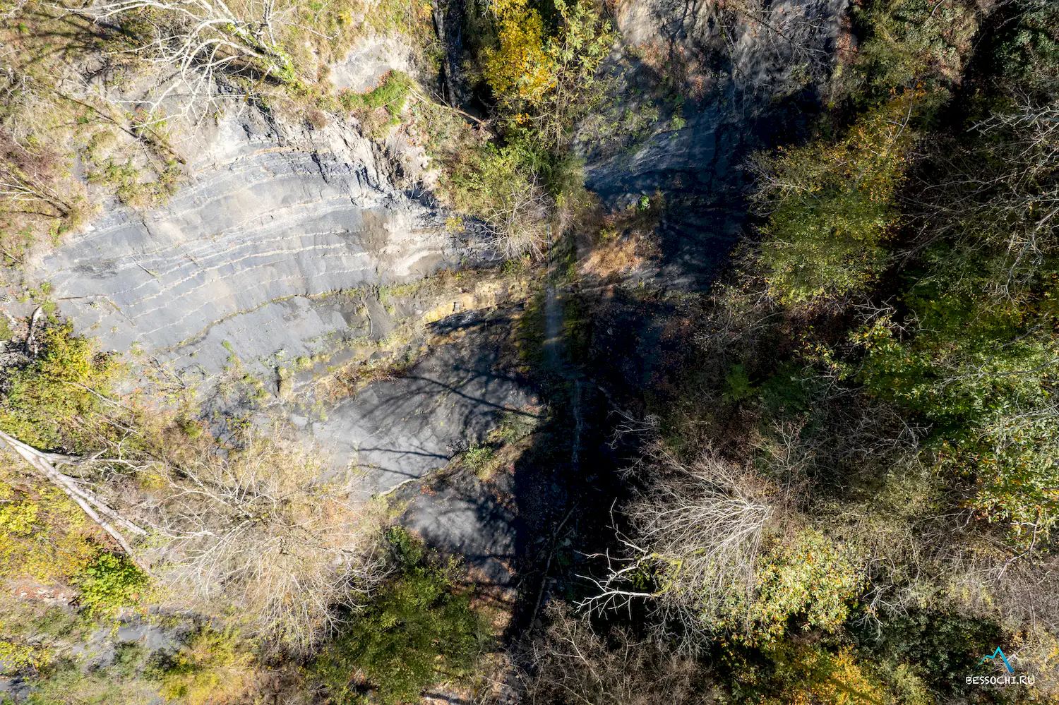 Первый приток Кутарки