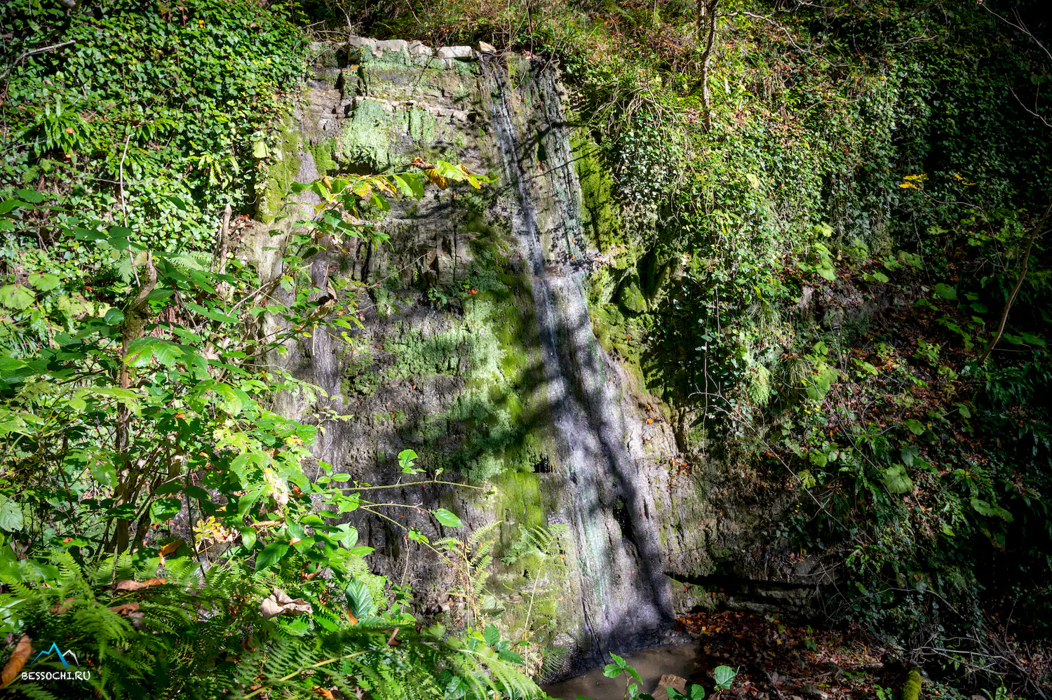 Первый приток Кутарки