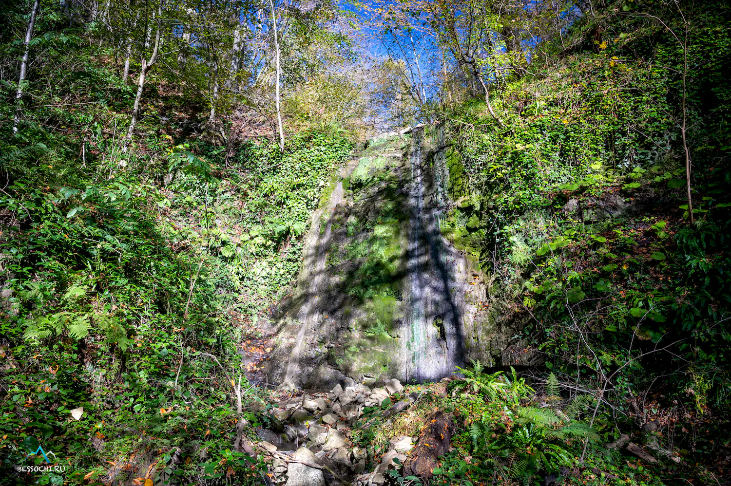 Первый приток Кутарки