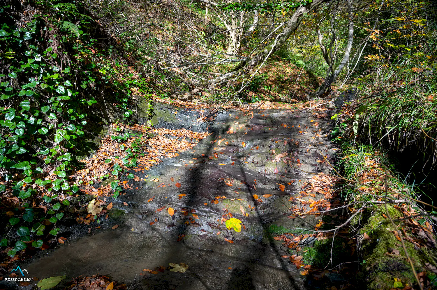 Первый приток Кутарки