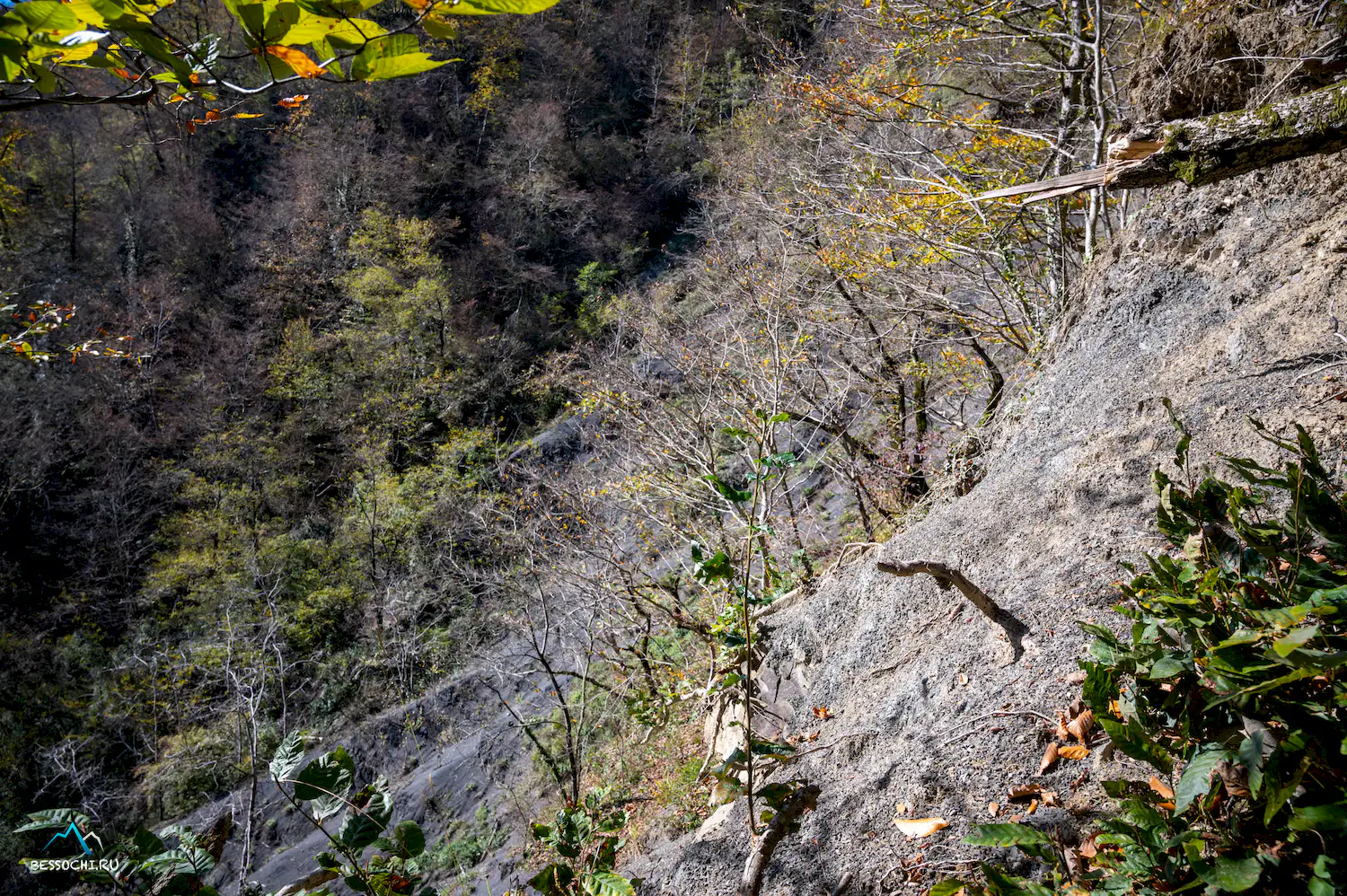 Первый приток Кутарки