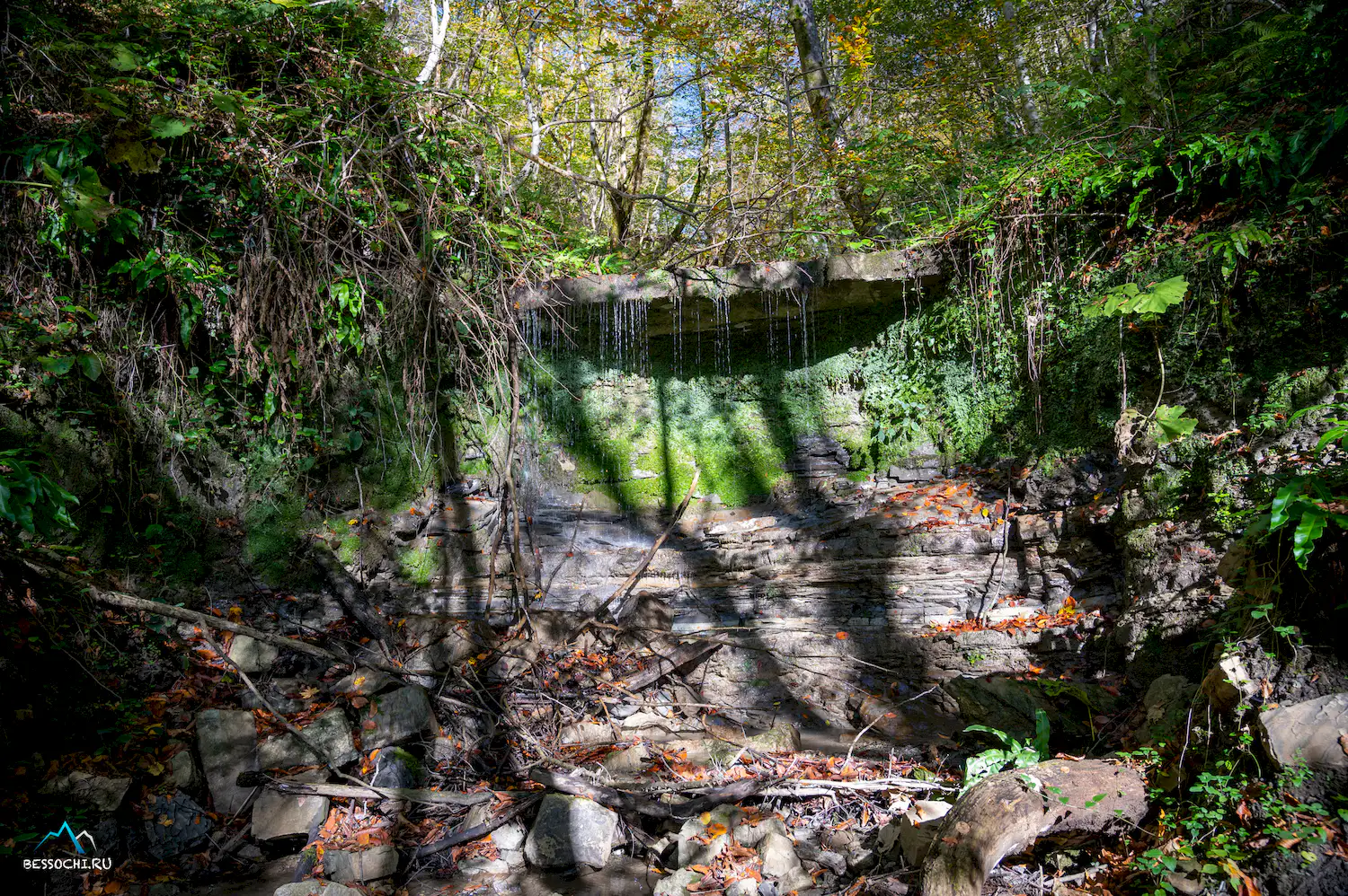 Первый приток Кутарки