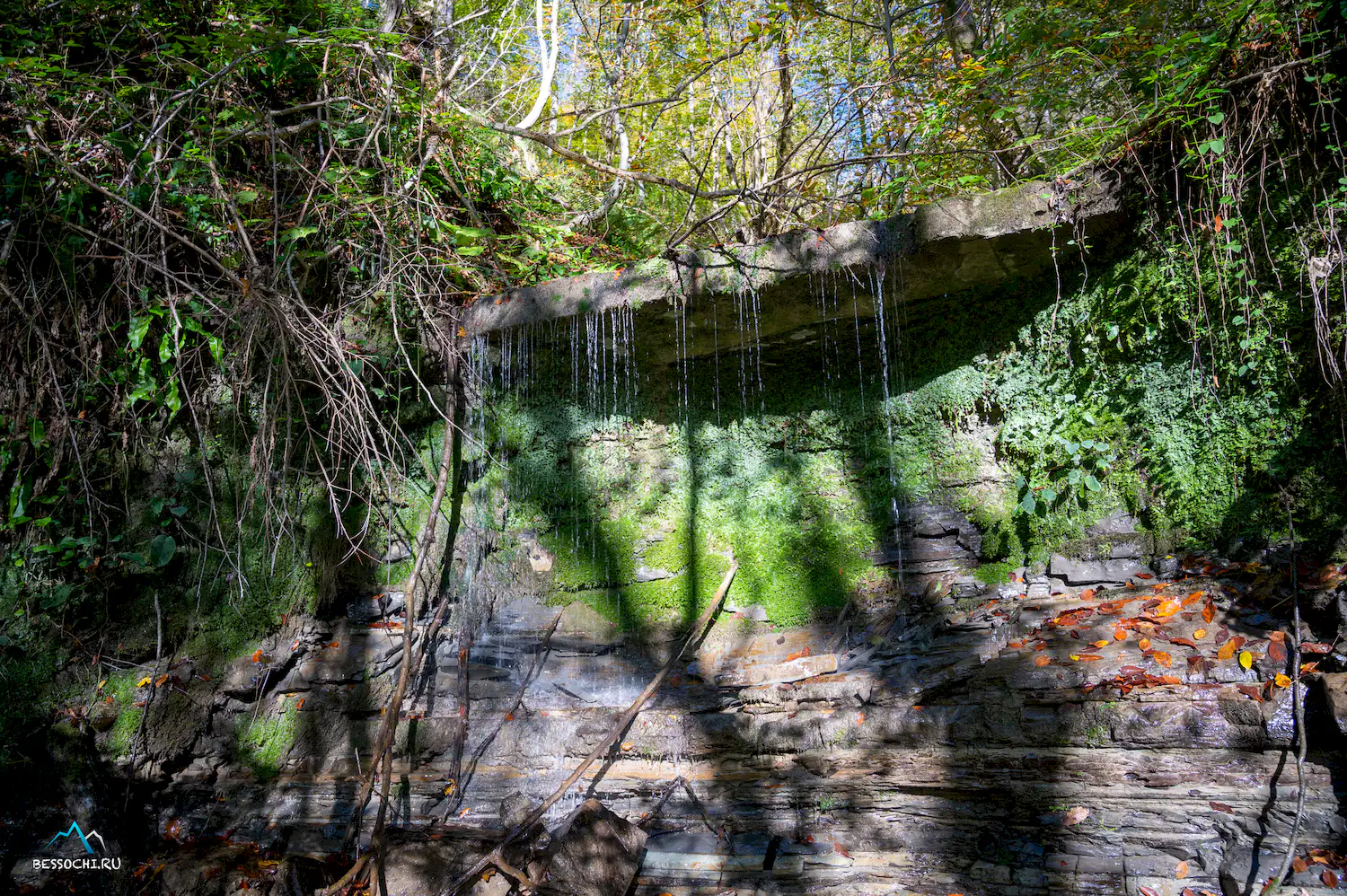 Первый приток Кутарки